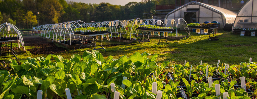 Crabtree Farms: Field to Feast July Brunch